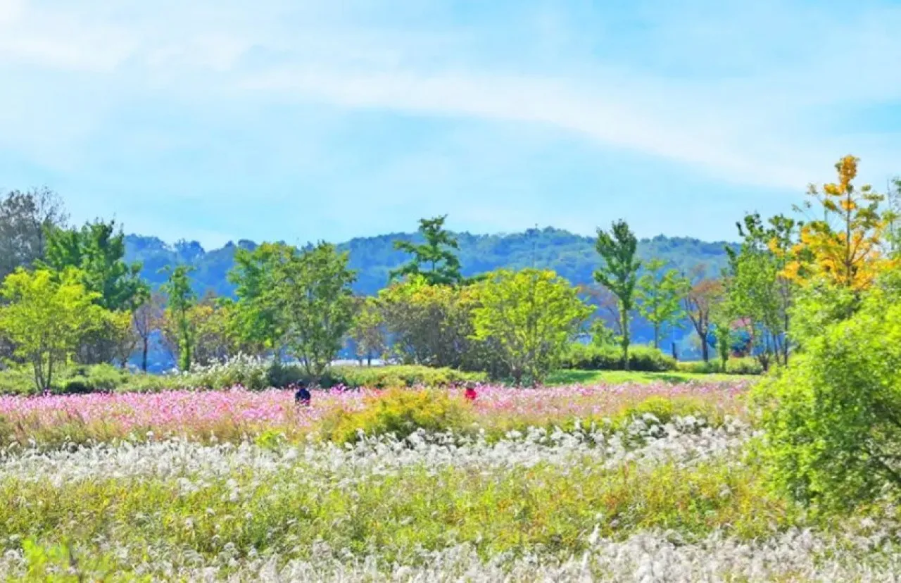 여주 당남리섬 / 사진=경기관광플랫폼