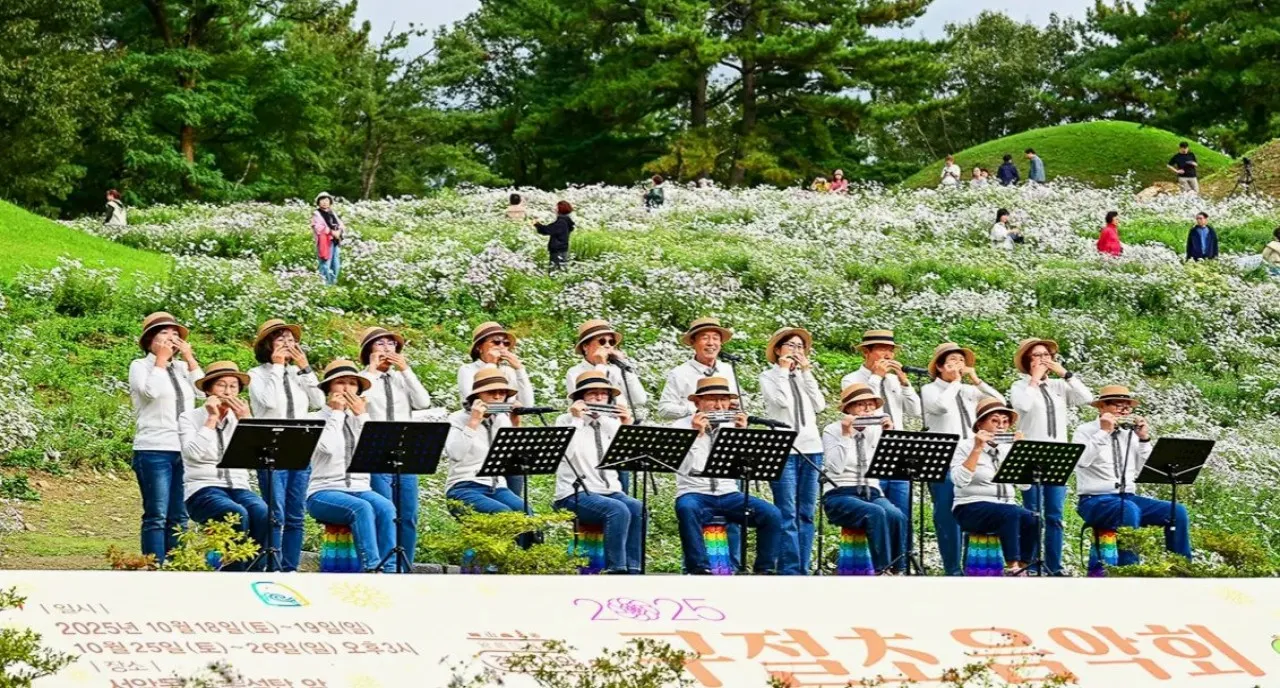 지난 구절초 음악회 / 사진=경주문화관광