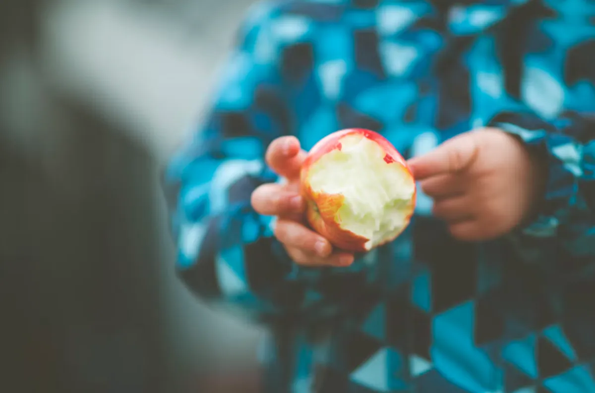 사진 : 사과 / unsplash.com