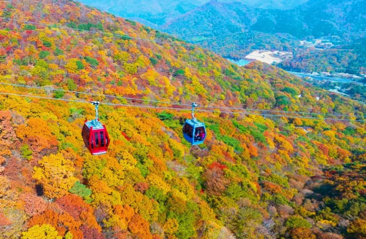 거제 파노라마 케이블카 / 사진=거제 파노라마 케이블카