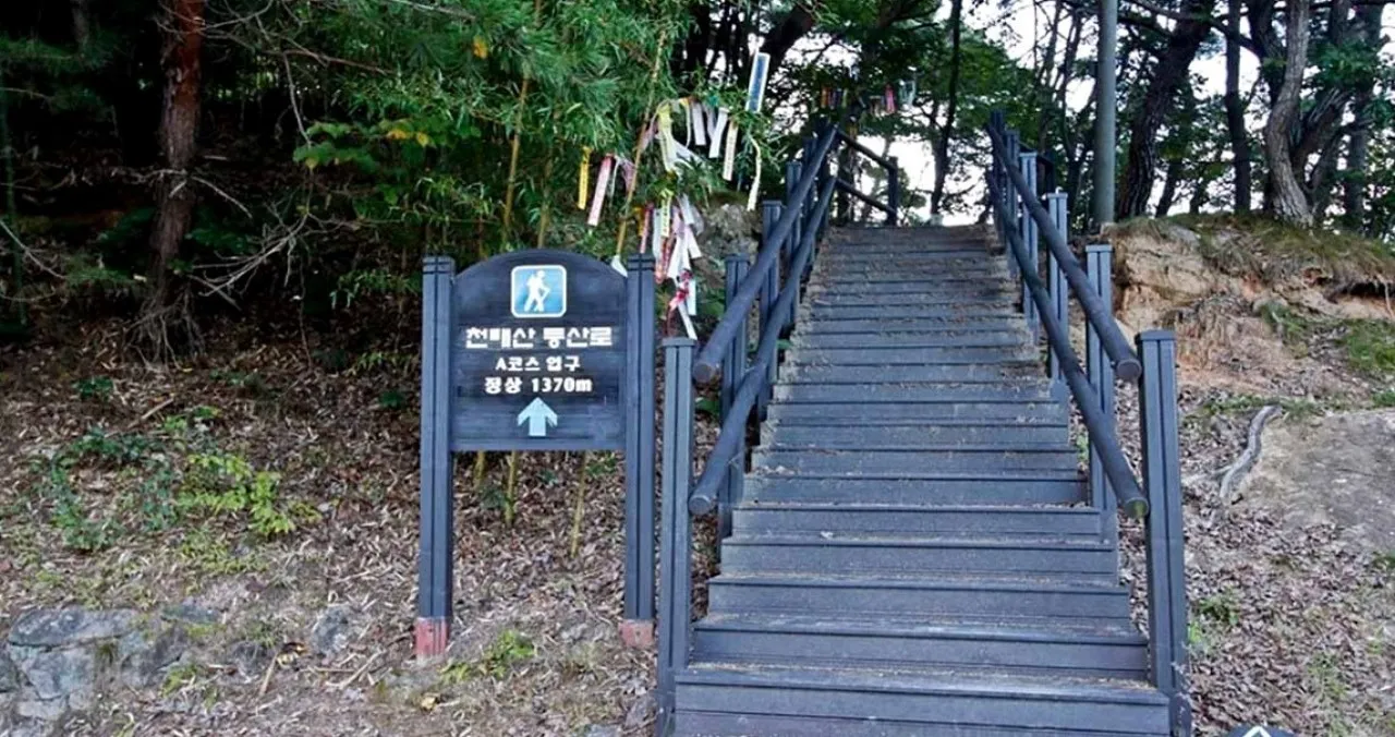 천태산 입구 / 사진=한국관광콘텐츠랩