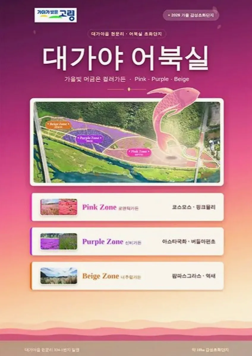 구역별로 나뉜 꽃 단지 / 사진=고령군