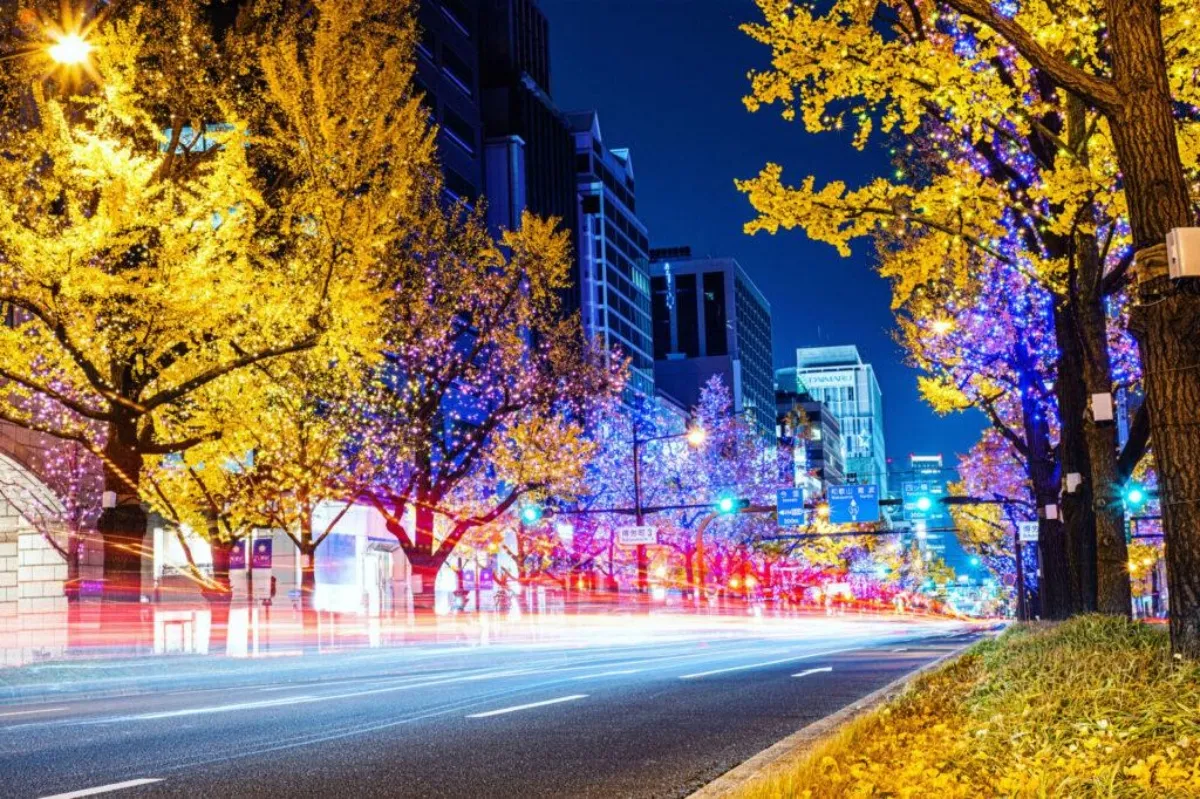 사진=미도스지 조명 거리