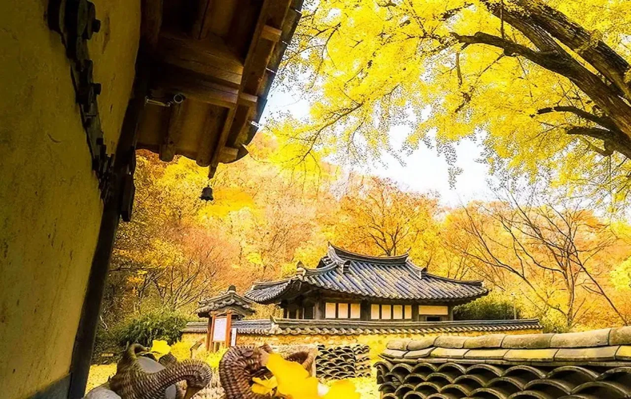 경주 운곡서원 가을 풍경 / 사진=한국관광콘텐츠랩
