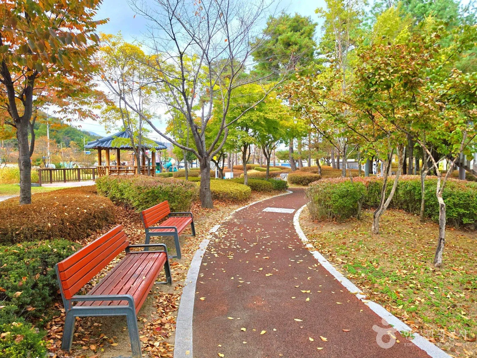 낙엽이 내려앉은 산책로와 붉은 벤치.<br>출처: 한국관광공사
