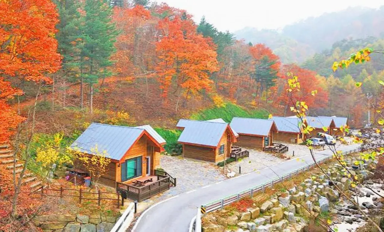 백두대간 생태수목원 / 사진=정선관광