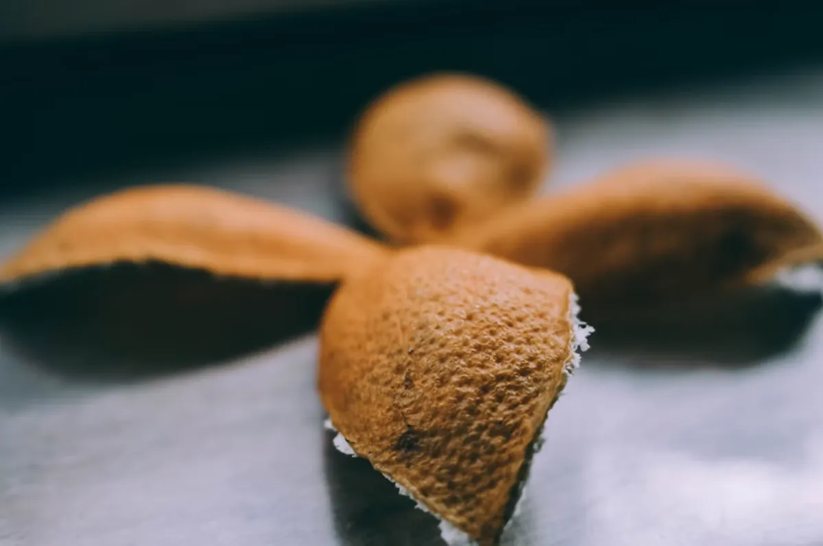 사진 : 바싹 말린 귤 껍질 / unsplash.com