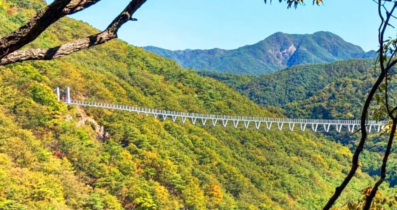 구름다리 전경 / 사진=한국관광콘텐츠랩