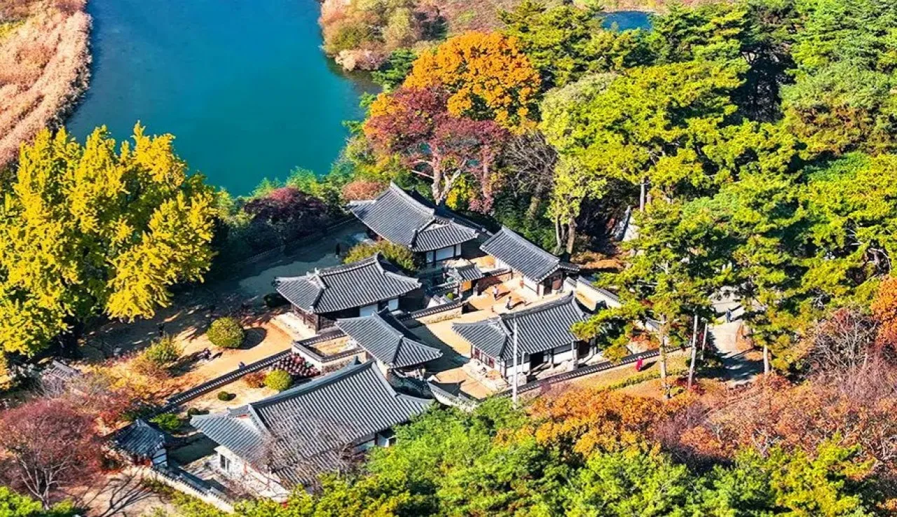 밀양 금시당·백곡재 풍경 / 사진=한국관광콘텐츠랩