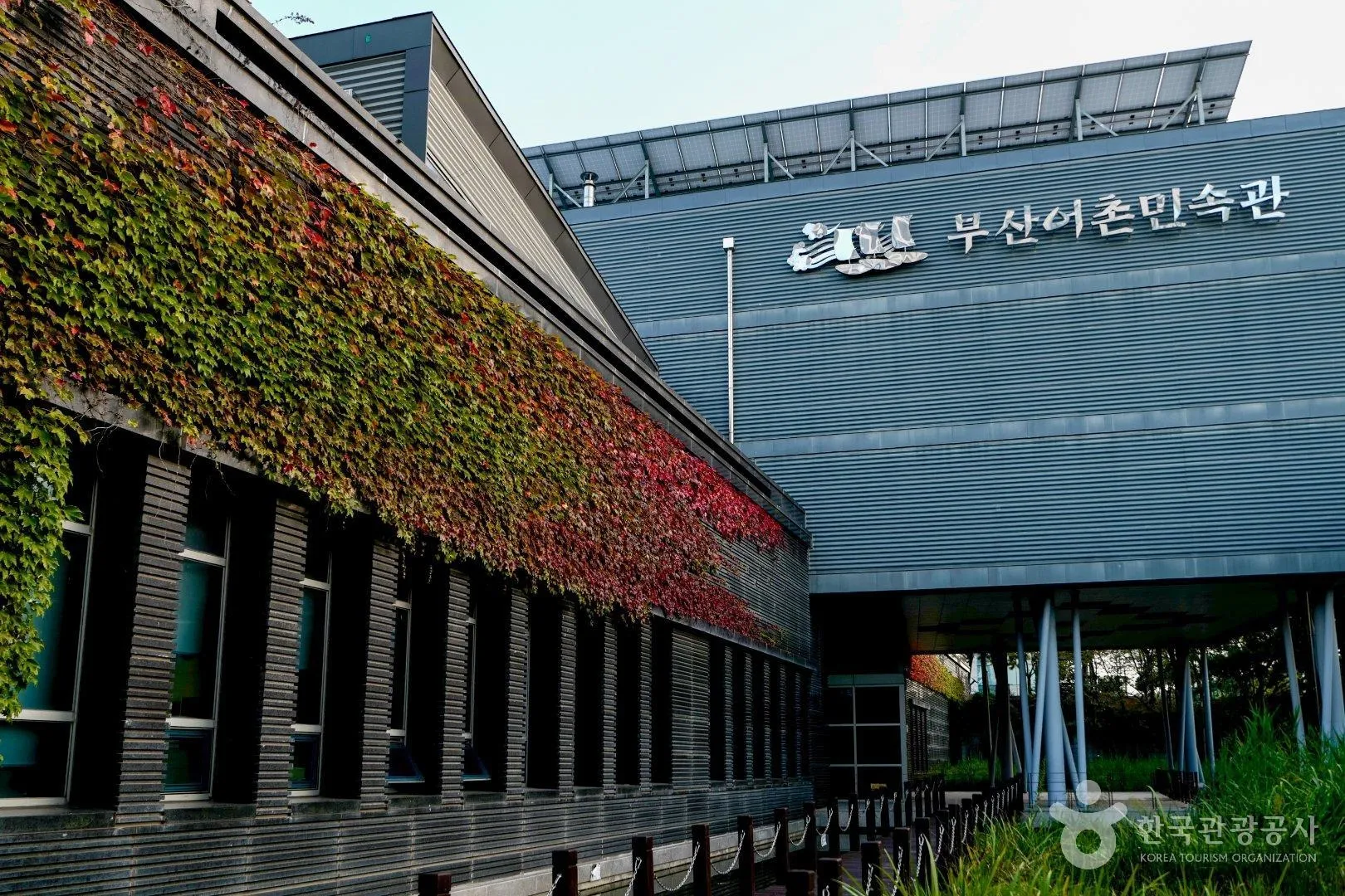 덩굴식물 외벽과 현대식 건축물이 어우러진 부산어촌민속관.<br>한국관광공사 홈페이지
