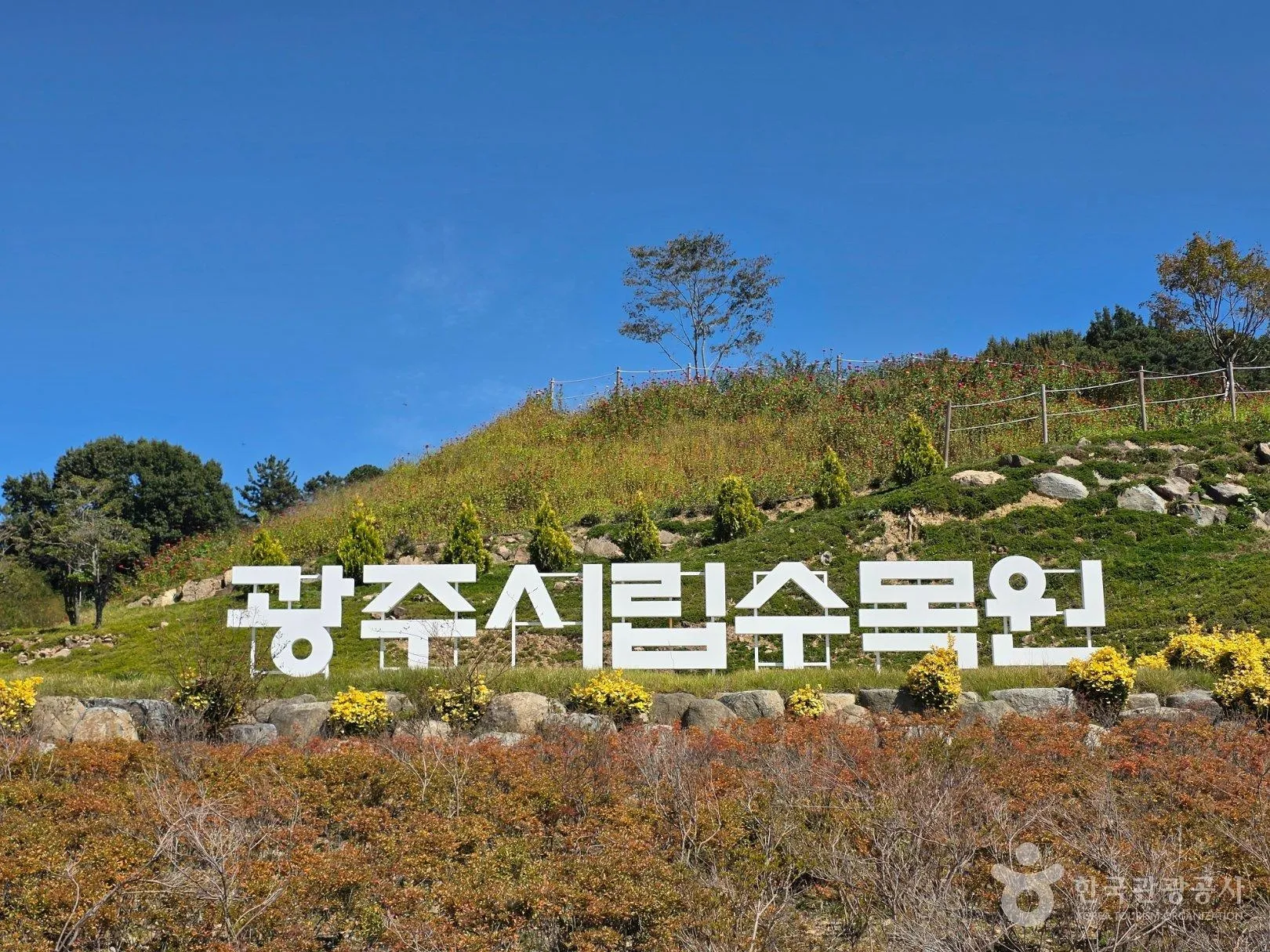 푸른 하늘 아래 언덕 위에 설치된 광주시립수목원 간판.<br>한국관광공사 홈페이지
