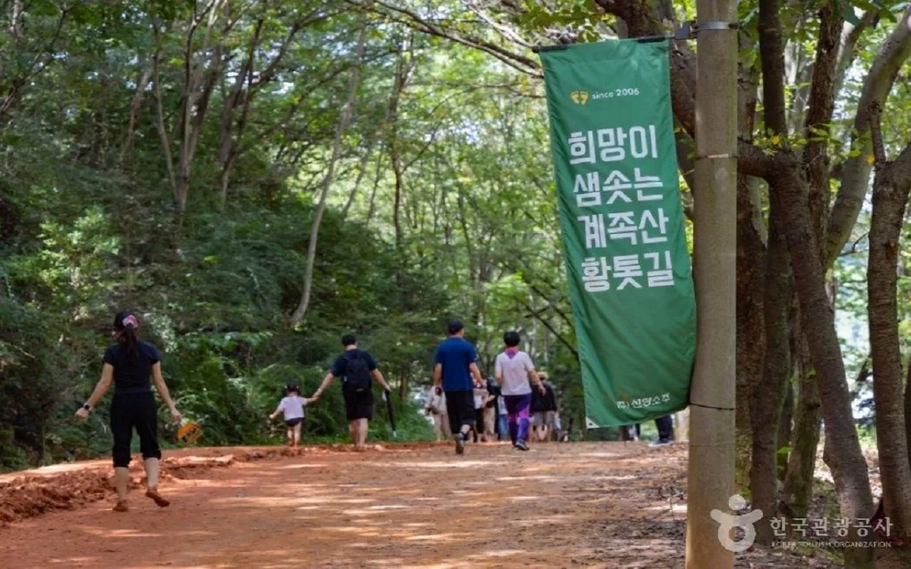 푸른 숲속 황톳길. 한국관광공사 홈페이지