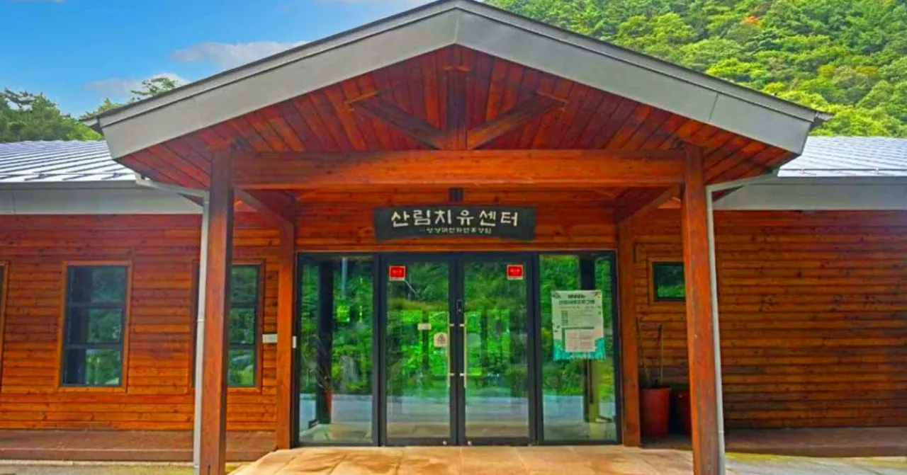 산림치유센터 / 사진=한국관광콘텐츠랩