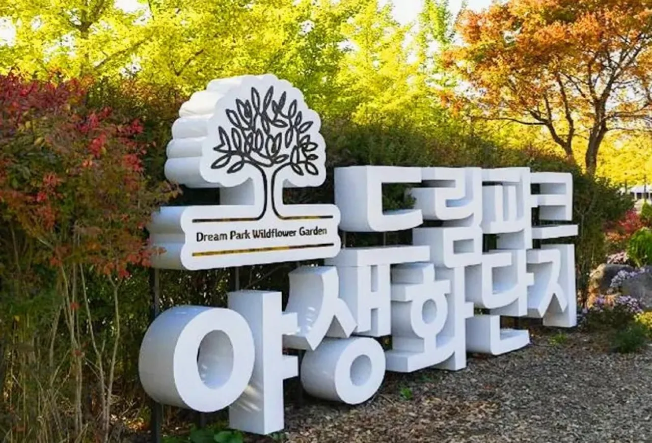 드림파크 야생화단지 / 사진=한국관광공사