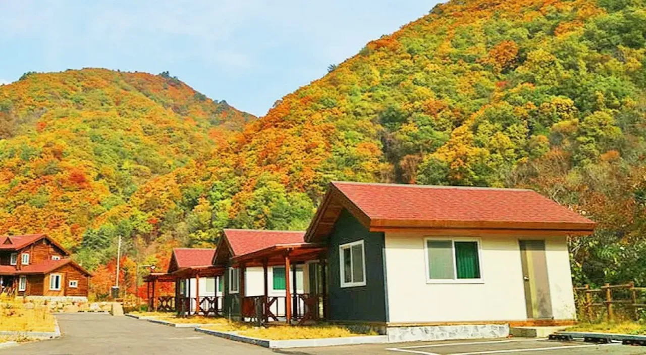 국립 용대자연휴양림 / 사진=국립 용대자연휴양림