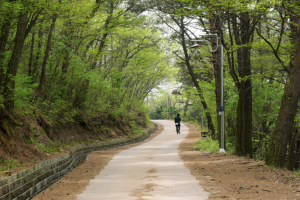 기사로 이동 - 바닷길 따라 걷는 힐링 여행, 전라북도 부안 완전 정복 코스