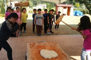 기사로 이동 - 아는 사람만 아는, 강원도 원주 농촌체험 여행: 아이와 함께 떠나는 숨겨진 보석 같은 가족 여행지!