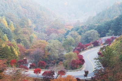 thumbnail - 경상남도 함양 여행, 지리산과 화림동 계곡 완전 정복! (feat. 드라이브 코스, 둘레길