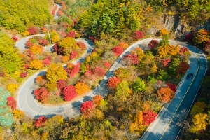 기사로 이동 - 단풍 절정 시기 10월, “단풍이면 단양!” 보발재 단풍길로 시작하는 충북 단양 여행