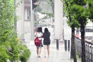 기사로 이동 - 수능 한파 대신 ‘수능 늦더위’?  따뜻한 날씨 속 ‘우산’ 챙겨야 하는 이유! 