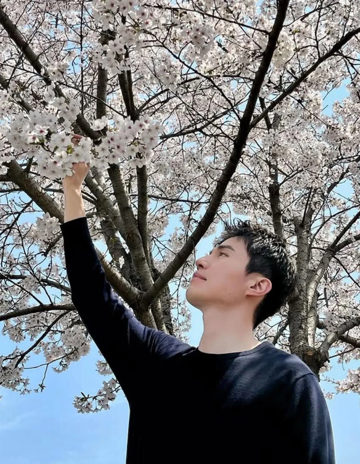 이동욱, 윤 대통령 탄핵 직후 “이제야 봄볕!”, 1870명 팬 환호