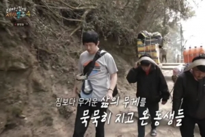 기사로 이동 - 15,000원 벌려고 하루 4번 산 넘는 소년들…기안84도 놀란 셰르파의 세계