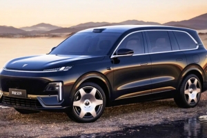 기사로 이동 - “팰리세이드급 크기에 연비 24.4km/L”…3천만 원대 SUV ‘디팔 S09’ 폭발적 인기