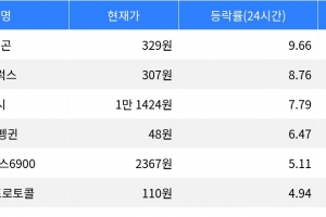 기사로 이동 - 폴리곤, 시가총액 300위권 24시간 등락률 1위