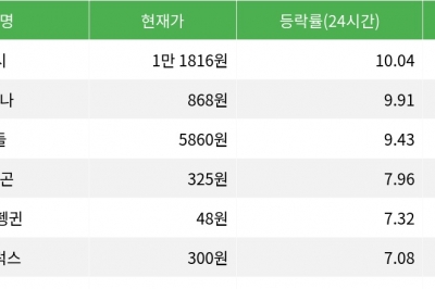 thumbnail - 딕시, 시가총액 300위권 24시간 등락률 1위
