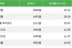 기사로 이동 - 펜들, 시가총액 300위권 24시간 등락률 1위