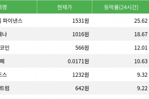 기사로 이동 - 에어로드롬 파이낸스, 시가총액 300위권 24시간 등락률 1위