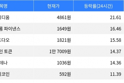 thumbnail - 레이디움, 시가총액 300위권 24시간 등락률 1위 상승세 주도