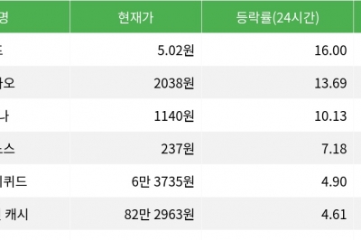 thumbnail - 펌프, 시가총액 300위권 24시간 등락률 1위
