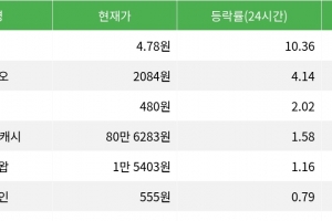기사로 이동 - 펌프, 시가총액 300위권 24시간 등락률 1위