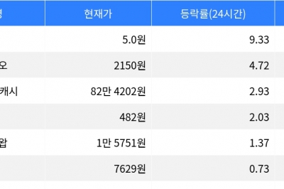 thumbnail - 펌프, 시가총액 300위권 24시간 등락률 1위