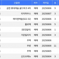 thumbnail - “매매가 1억6천5백만원”... 금천구 주간 최저가 매물, ‘독산동 금천 롯데캐슬 골드파크