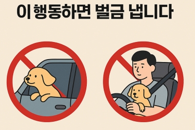 thumbnail - “귀엽다고 봐줬다간”... 벌금 4만원에 벌점 15점, ‘이 행동’의 정체
