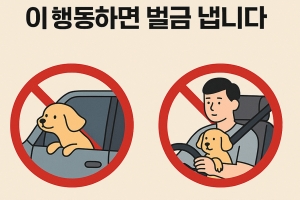 기사로 이동 - “귀엽다고 봐줬다간”... 벌금 4만원에 벌점 15점, ‘이 행동’의 정체