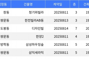 기사로 이동 - “매매가 5천만원”... 도봉구 주간 최저가 매물, ‘창동 청기와빌라’
