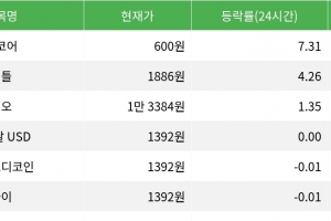 기사로 이동 - 밈코어, 시가총액 300위권 24시간 등락률 1위