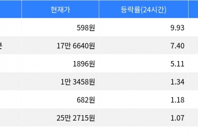 thumbnail - 밈코어, 시가총액 300위권 24시간 등락률 1위