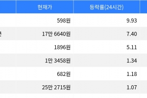기사로 이동 - 밈코어, 시가총액 300위권 24시간 등락률 1위