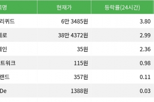 기사로 이동 - 하이퍼리퀴드, 24시간 상승률 1위 등극 암호화폐 시장에서 두각