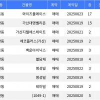 thumbnail - “매매가 9천만원”... 금천구 주간 최저가 매물, ‘시흥동 와이즈플레이스’