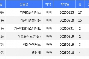 기사로 이동 - “매매가 9천만원”... 금천구 주간 최저가 매물, ‘시흥동 와이즈플레이스’
