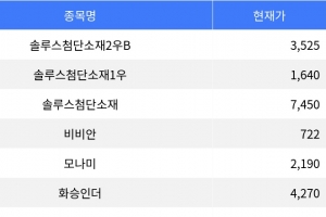 기사로 이동 - 솔루스첨단소재2우B, 등락률 -12.96%로 하락세 주도