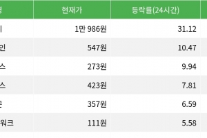 기사로 이동 - 스토리, 시가총액 300위권 24시간 등락률 1위