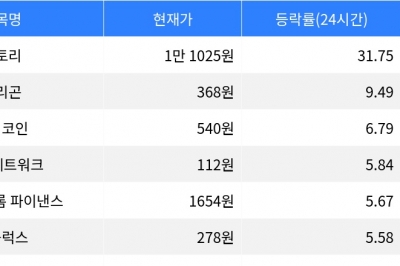 thumbnail - 스토리, 시가총액 300위권 24시간 등락률 1위