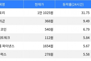 기사로 이동 - 스토리, 시가총액 300위권 24시간 등락률 1위