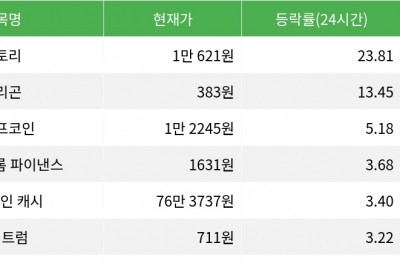 thumbnail - 스토리, 24시간 상승률 1위로 시가총액 44위 진입